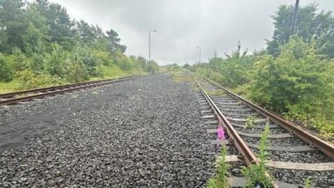 The tracks of the Leamside Line, covered in weeds