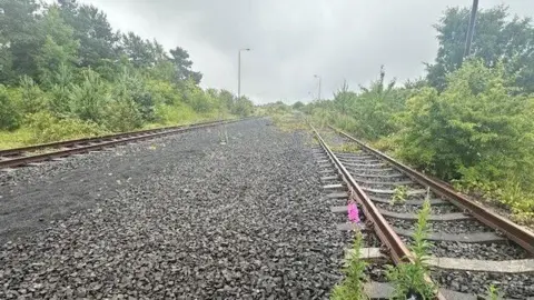 BBC The tracks of the Leamside Line, covered in weeds