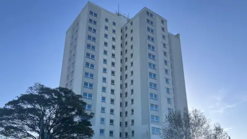 A 16-storey grey tower block with myriad windows behind two large trees    