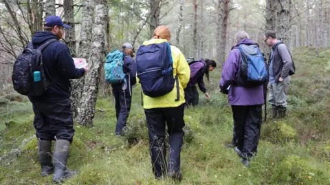 RZSS Hoverfly survey