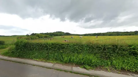 A Google street view image showing a large field surrounded by hedges. Cows can be seen grazing. 