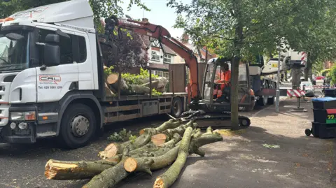 A workman on pulley lifting cut trees on to a lorry. Other cut trees are lying on the road