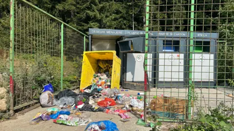 Garbage bins in Romania