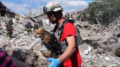A rescue worker wearing a helmet carries a small dog next to the rubble of a building destroyed by an attack. 