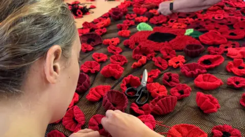 Chelmsford City Council A young woman is attaching knitted red poppies to some large netting. There is a set of black handled scissors on top of the sea of poppies. 