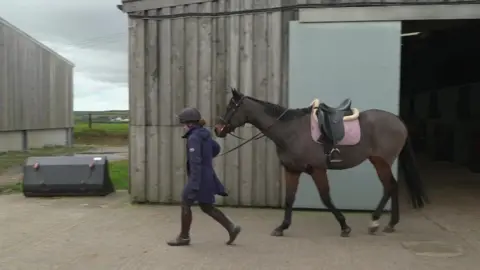 BBC A photo of a racehorse