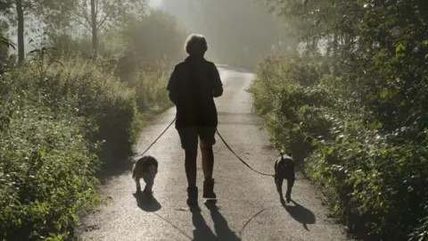 Getty Images A woman walks two dogs on a path in a rural area. Both dogs are on a lead and the woman has her back to the camera.