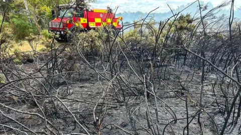Surrey Fire and Rescue Service A scorched area of grass. 