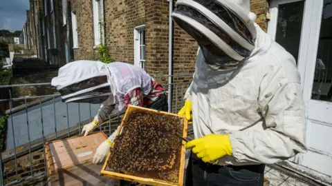 Getty Images  Urban bee-keepers on a balcony in London