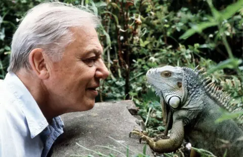Sir David Attenborough leans over a rock face to face with an iguana.