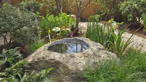 A water pool in the middle of a stone with foliage which is green around it. 