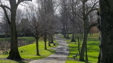 Birmingham City Council Bare trees lining a pathway in a park
