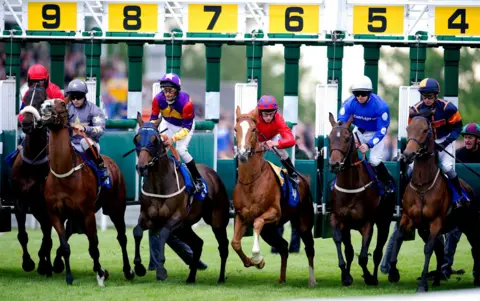 Horses set off in a race at Hamilton Park Racecourse.