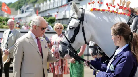 PA Media The King with white tram horse being held on a halter by a woman in a purple jacket.