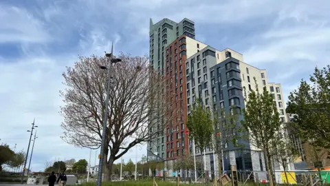 A tree at the top of Armada Way and the 23-storey Beckley Point development