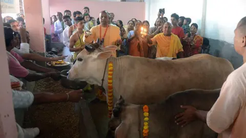 Getty Images Indian monks from the International Society of Krishna Conciousness (ISKON) along with Hindu devotees worship cows as part of Govardhan Puja celebrations at ISKON temple in Siliguri on November 12, 2015.