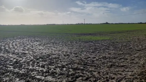 Environmena A large agricultural land.