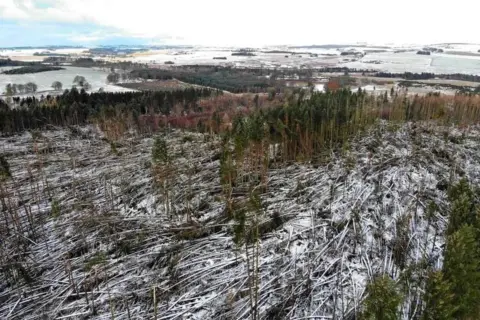 Blair Nichols/NTS Aerial image of an area of Aberdeenshire in snow where dozens of trees have been blown over