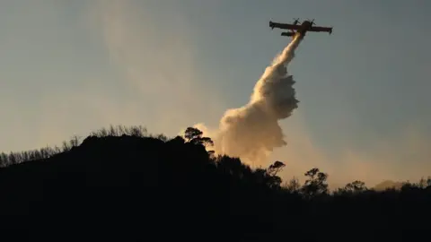EPA/Shutterstock A plane expels fire retardant over a forest in Greece, with a blue sky behind