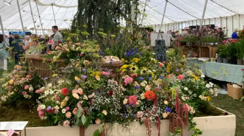 A colourful flower display on a raised flower bed in a white tent. People are walking around looking at different displays.