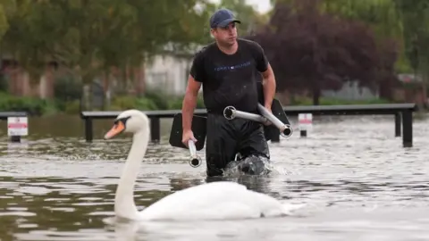 A man wearing a blue cap and carrying metal poles wades in flood water with a swan in front of him. There are fences and signs in the background.