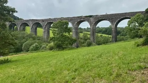 Grade Two listed Shillamill viaduct, in open farmland, overgrown on the top where tracks used to be on the rail route between Tavistock and Bere Alston
