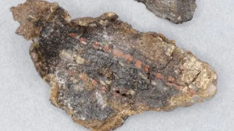 MNH Fragments of a Viking shield, there are hints of colour on the pieces of material.
