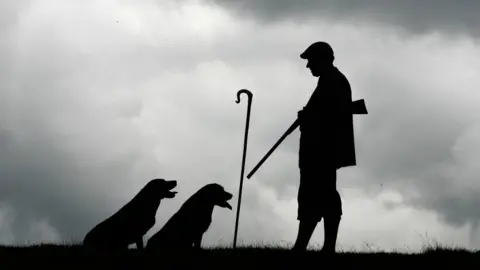 PA Gamekeeper carrying gun with two dogs