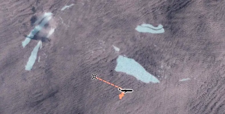 NOC The gliders can be piloted from a distance - from the UK, even