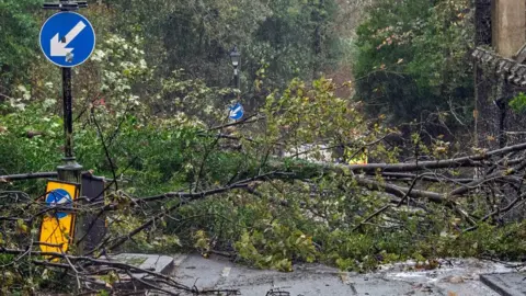 Stuart Brock/EPA-EFE/REX/Shutterstock Fallen trees block the road during Storm Ciaran in Dover, Kent, Britain.