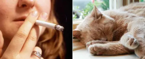 PA picture collage of woman holding a cigarette close to her mouth and a cat sleeping