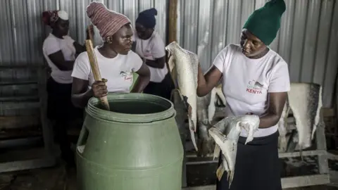 FAO/Luis Tato Two women place skins in tank which tans fish.