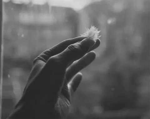 Rebecca Jeffree A hand holding a feather