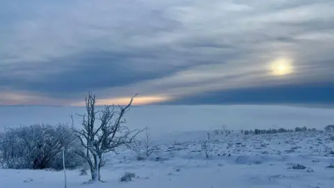 Mister Twister / BBC Weather Watchers Snow-covered scene in wilds outside Leek. A small tree and hedge to the left are the only features other than sprouts of grass poking above the snow