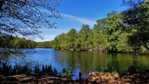Walkers Are Welcome Trees around a small lake on a sunny day.