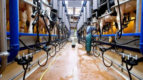 Getty Images A dairy