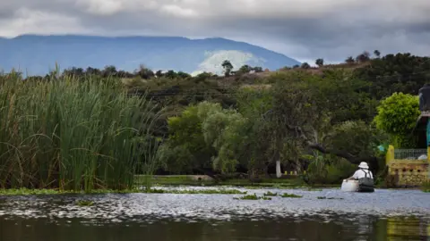 Chester Zoo Reintroduction site in Jalisco, Mexico