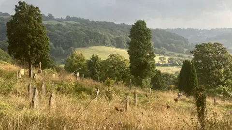 Susan Fenton A picturesque view of the valley with an overgrown cemetery in the foreground, stretching away in the distance with a mixture of fields and woodland