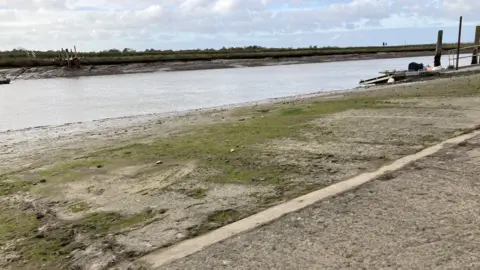 GUY CAMPBELL/BBC A grey and pitted concrete slipway with areas covered in green algae slopes towards the water of the River Blyth 