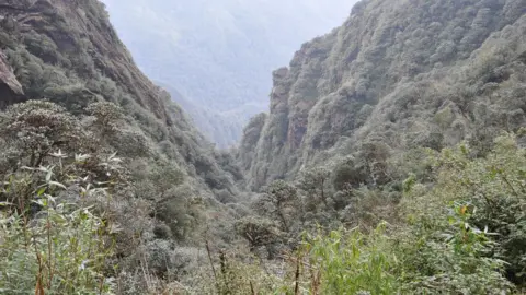 RBGE Valley in Vietnam