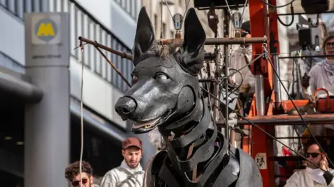 PA Xolo the Dog looks on