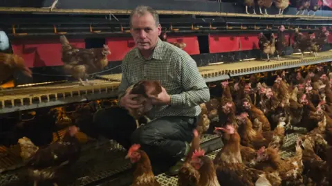 Tim Jelfs Tim Jelfs crouches in a poultry barn surrounded by dozens of hens perched on shelves. He has grey hair and wears a checked shirt and black trousers.