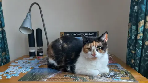 Winnie is a cat with black, ginger and white fur. She is looking at the camera while sitting on a partially completed large jigsaw puzzle on a table.