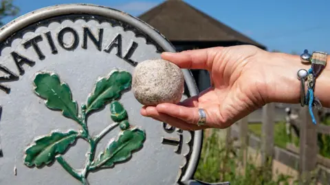 Mike Selby/National Trust A stone ball held up in front of a National Trust sign, with its distinctive green oak design. The ball is held by a woman's hand with rings and bracelets. Behind can be seen the peaked roof of Wicken Fen's visitor centre.