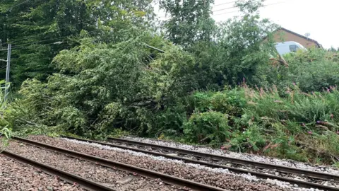 Network Rail Fallen tree over a railway line