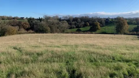 CPRE A large field stretches far ahead with stakes laid out regularly marking where the trees will be planted. There is a bank of trees in leaf in the background and a blue sky with light cloud. 
