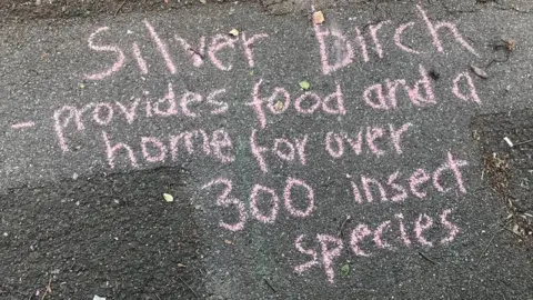 Rachel Summers In chalk: 'Silver birch - provides food and a home for over 300 insects'