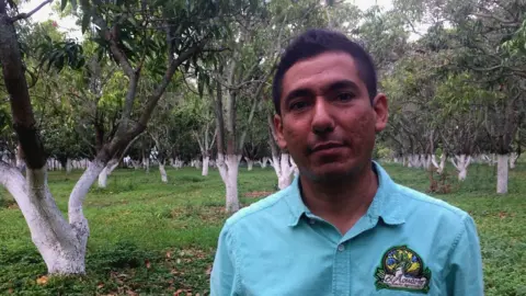 BBC Gilberto García on his mango farm near Iguala