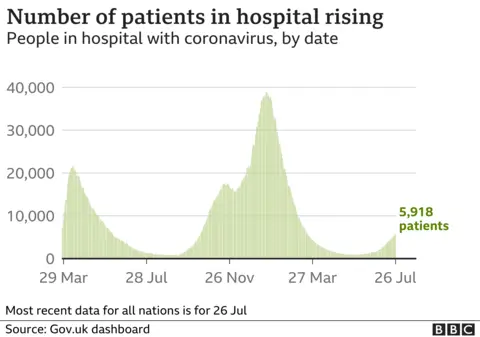 Graph showing number of people in hospital in UK