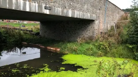Mark Sullivan Bevan's Lane bridge, near Sebastopol, Pontypool, Torfaen